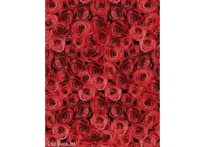 $EDUCA-500PC-IMPOSSIBLE-ROSES.webp