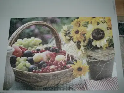 $154507_10151353795249040_1648532399_n.webp