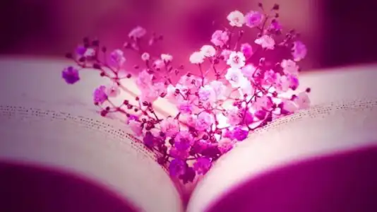 $graceful-pink-flower-love-facebook-timeline-cover1366x76866237.webp