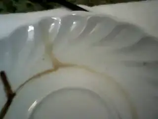 $1376823060651.webp