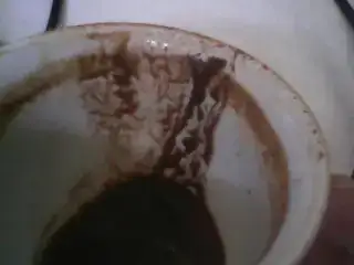 $1376823004038.webp