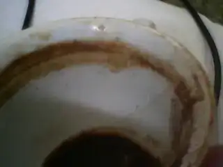$1376822965417.webp