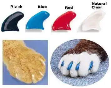 $soft-claws-colors.webp