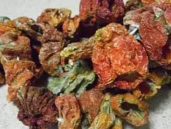 $24.webp