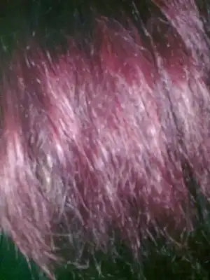 $keratin öncesi - haz&#305;rl&#305;k &#351;ampuan&#305; ile y&#305;kan&#305;p kurutulmu&#351.webp