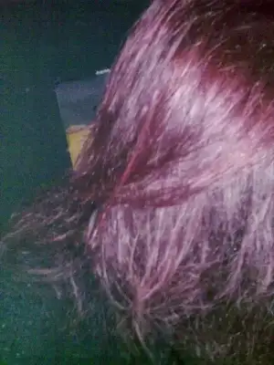$keratin öncesi - haz&#305;rl&#305;k &#351;ampuan&#305; ile y&#305;kan&#305;p kurutulmu&#351.webp