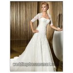 $organza-strapless-applique-bodice-with-a-line-skirt-in-chapel-train-2011-new-wedding-dress-wd-19.jpg