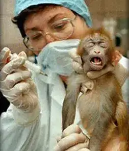 $animalmonkeytesting.webp