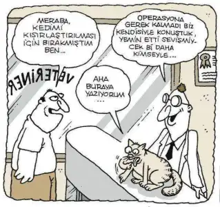 $sevismeyecek-kedi-karikaturu.webp