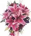 $B9VMCAVGRYUGCAU90DASCAKHY438CASUA7JKCAD09YNECAWTKL57CA9BJN1ZCAYMH6F1CA888WH6CA3FUUV0CASRVEV0...webp