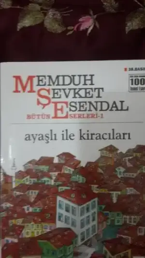 $123 (13).webp