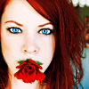 $a_red_rose_by_Myana.png