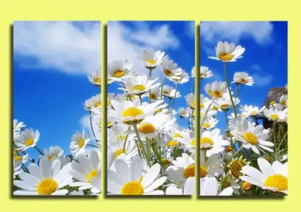 $2BOYUT-DIJITAL-KANVAS-TABLO-Cicekler__37271583_0.webp