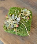 $natural moss wedding ring pillow.jpg