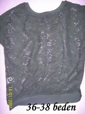 $103_0209.webp