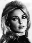 $Sharon Tate.jpg