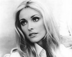 $sharontate.jpg