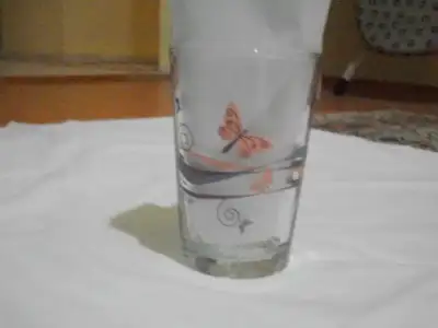 $100_5611.webp