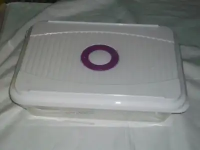 $100_5631.webp
