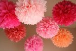 Pink pom poms.jpg