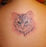 $75-cat_tattoos.jpg