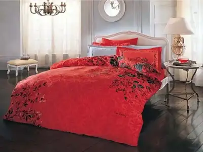 $pierre cardin 2.webp
