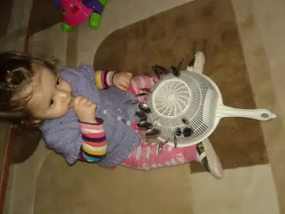 20150203_223401.webp