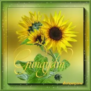 $gunaydin78.webp