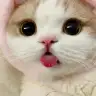 helyumkiz