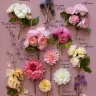 thelovespring