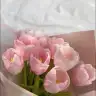 aysetep