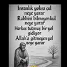 tamur44
