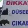 adanur