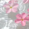 elizada1