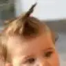 patikler