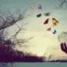 dygmhmt