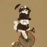 cartoona