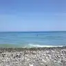 bonux