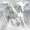 Pegasus_dk