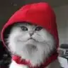 grafikerr