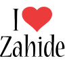 zahideekiciler