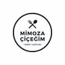 MimozaCicegimYoutube