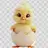 2026Anne