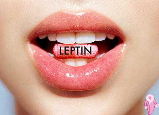 leptin_hormonu.jpg
