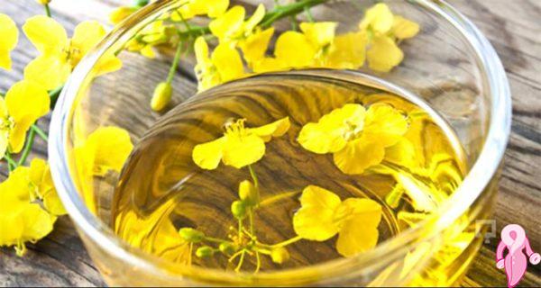 Sarı Kantaron Çayı Nasıl Yapılır? Faydaları Zararları Nelerdir? Neye İyi Gelir? | 1
