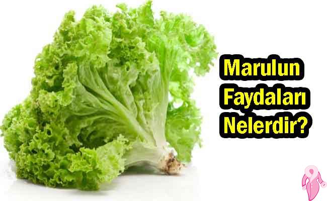 Marulun Faydaları Nelerdir? Neye İyi Gelir?