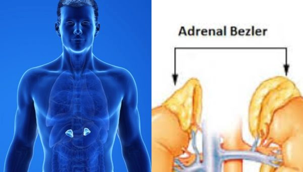 Konjenital Adrenal Hiperplazi (KAH): Belirtileri, Nedenleri ve Tedavisi