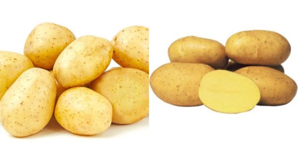 patates