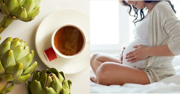 hamilelikte enginar çayı içilir mi